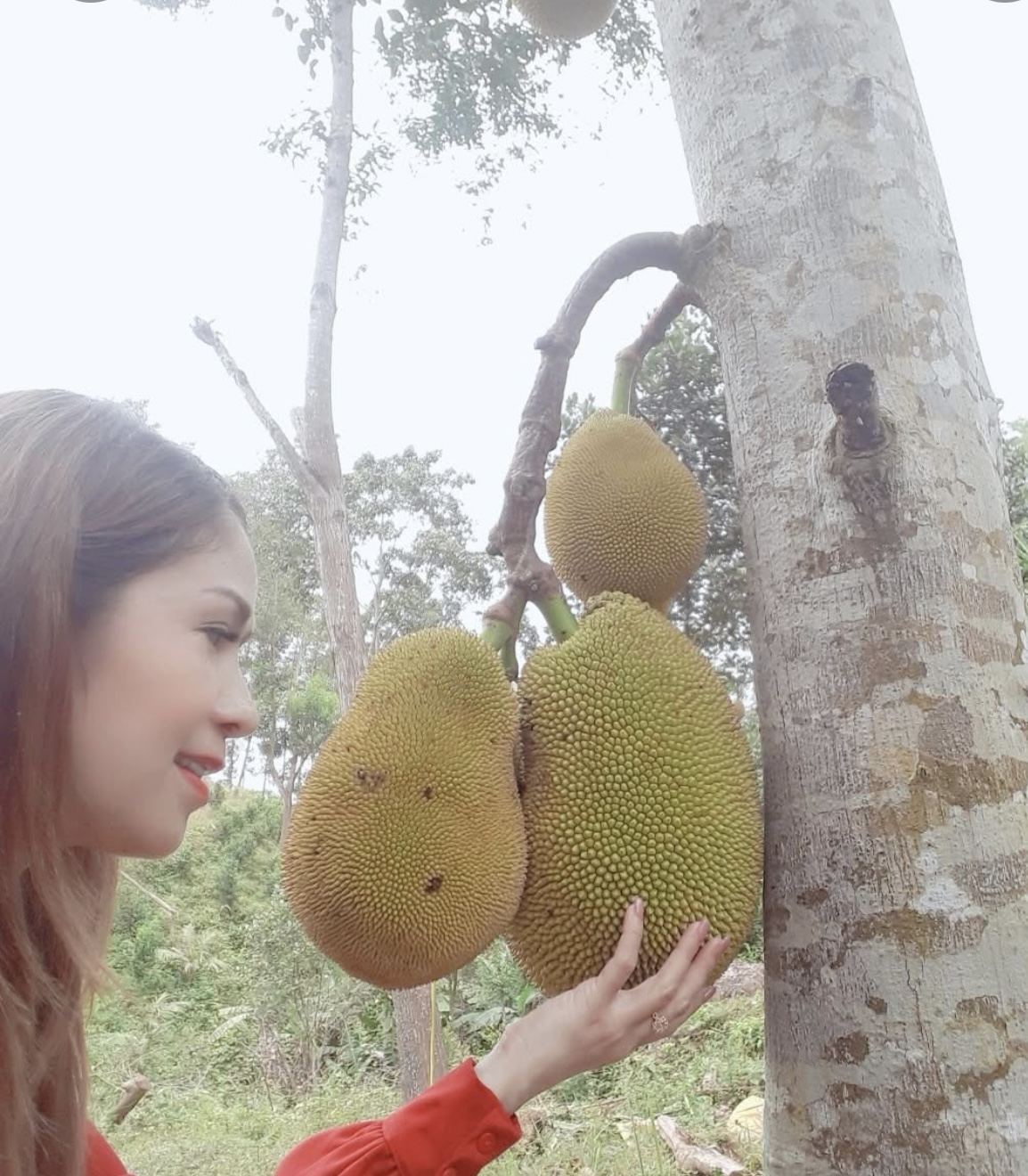 IMG_0869.jpeg