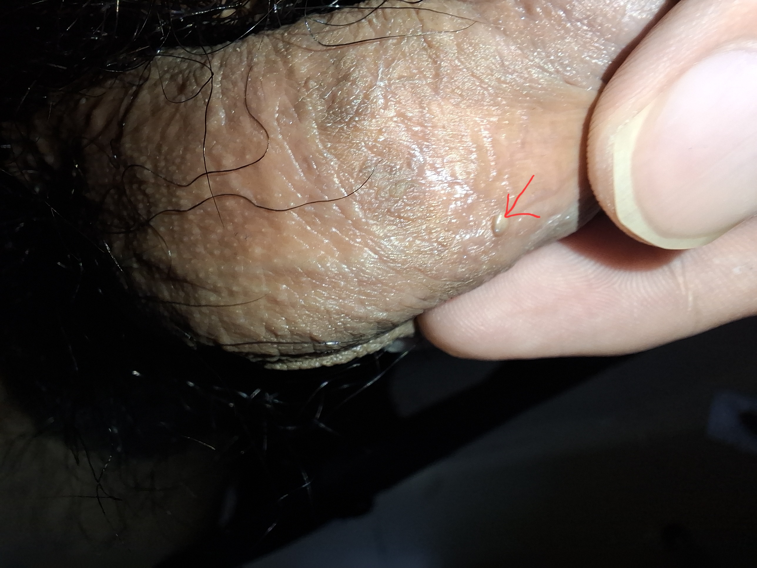 20250514_191551.jpg