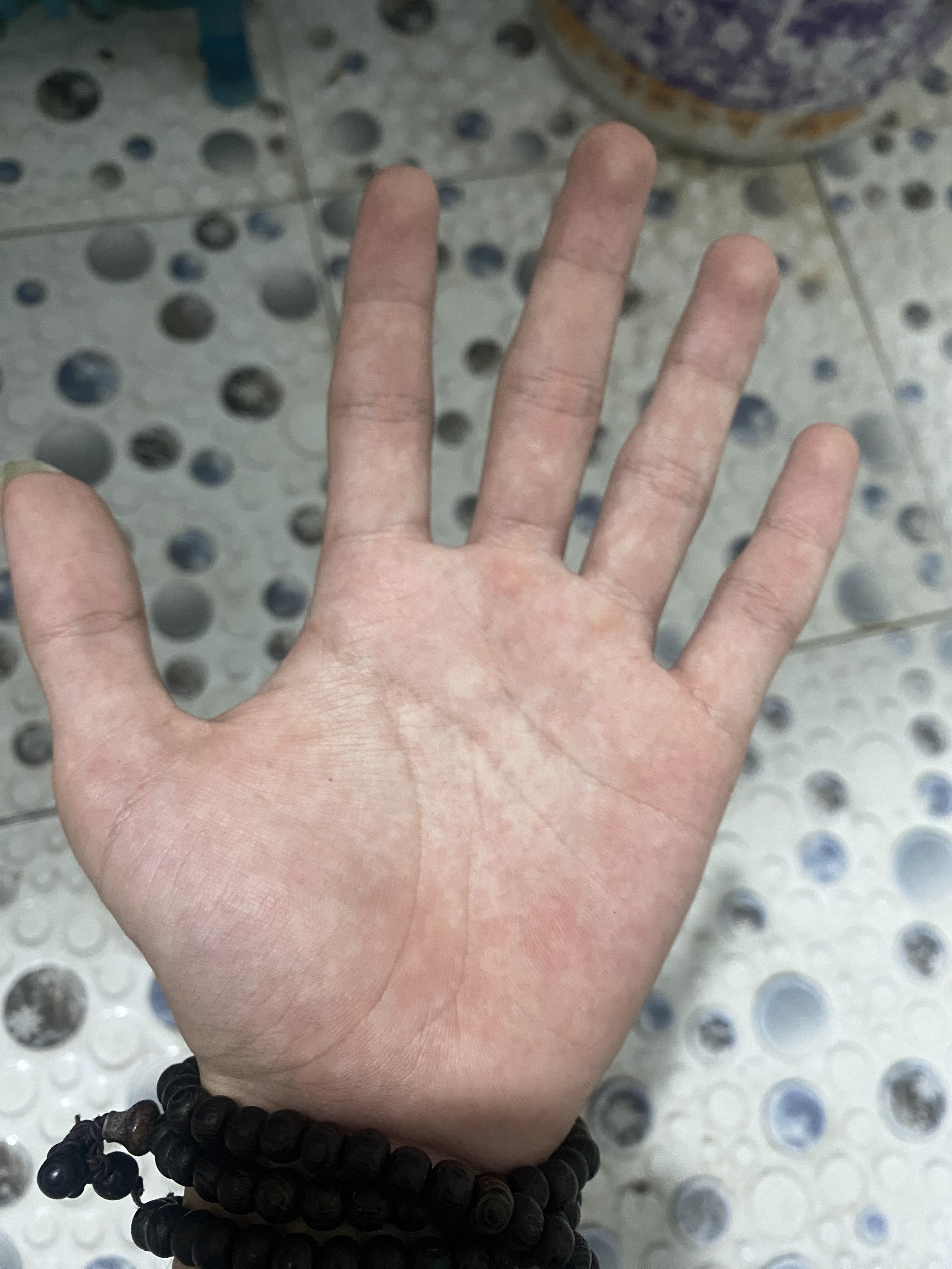 IMG_4673.jpeg