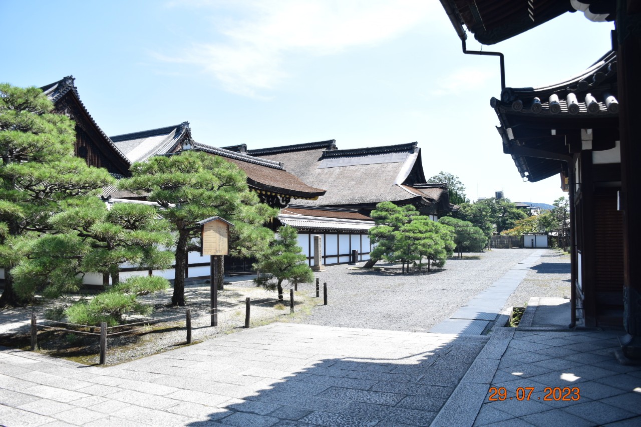 e216900ddfd20c8c55c3.jpg