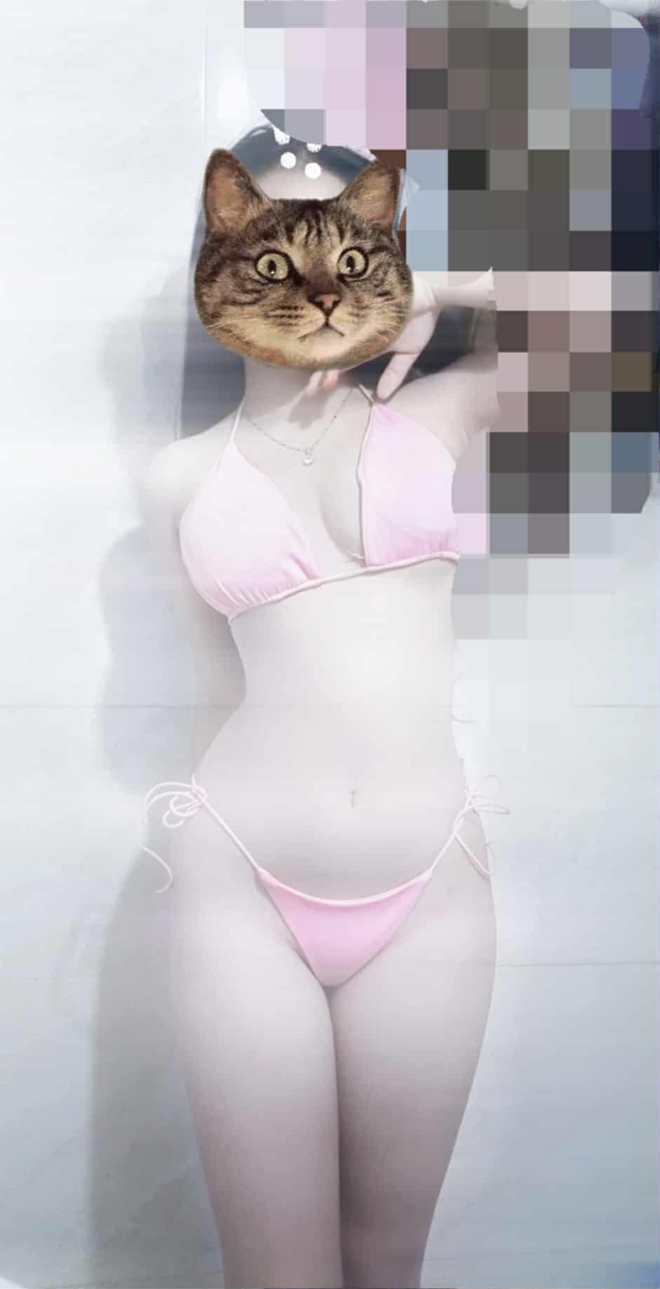 att.3y6O4Z9kRcc80tlfyM1DFklYPtQQL8gSxQPRuhVeatw_Original.jpeg