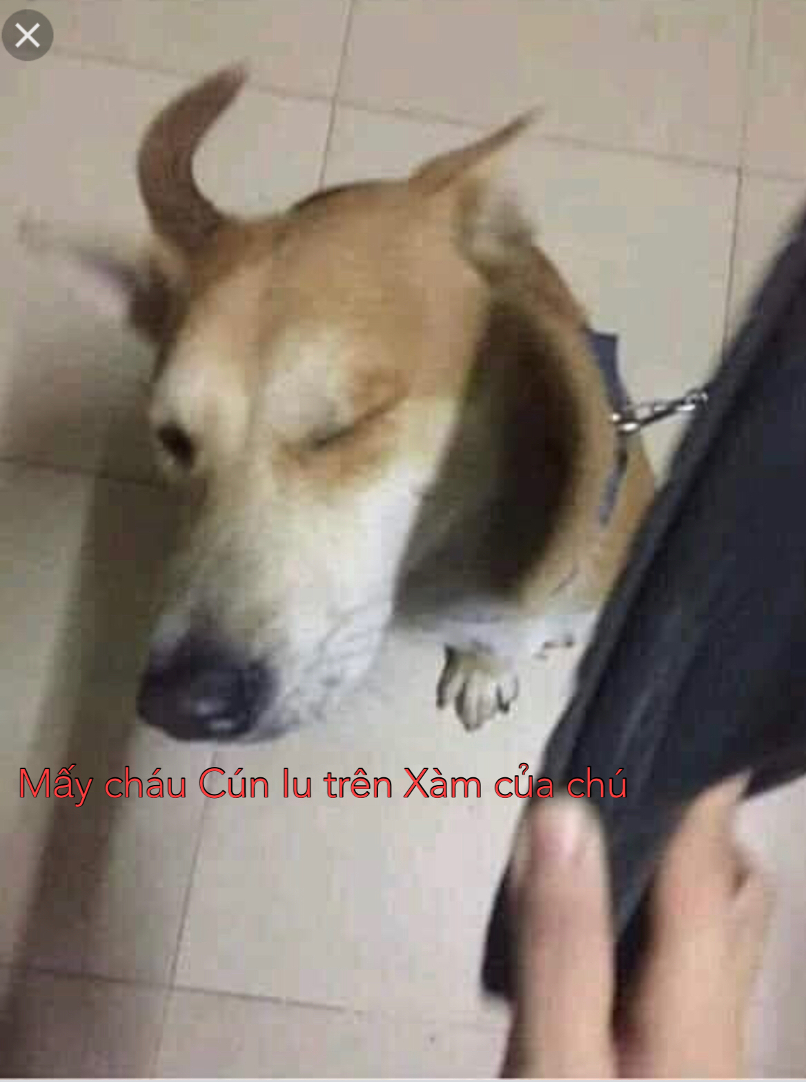 5B901F92-609D-44F9-BF76-4750B41AC274.jpeg