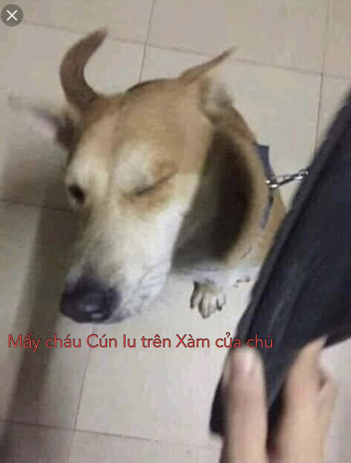 AD637031-9937-44D8-B985-F470C9B4E804.jpeg