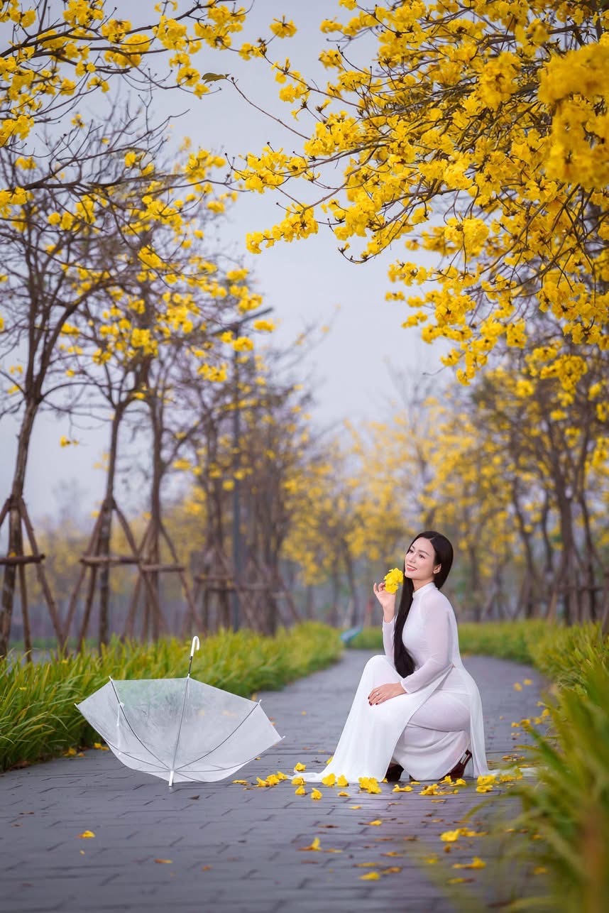 IMG_2647.jpeg