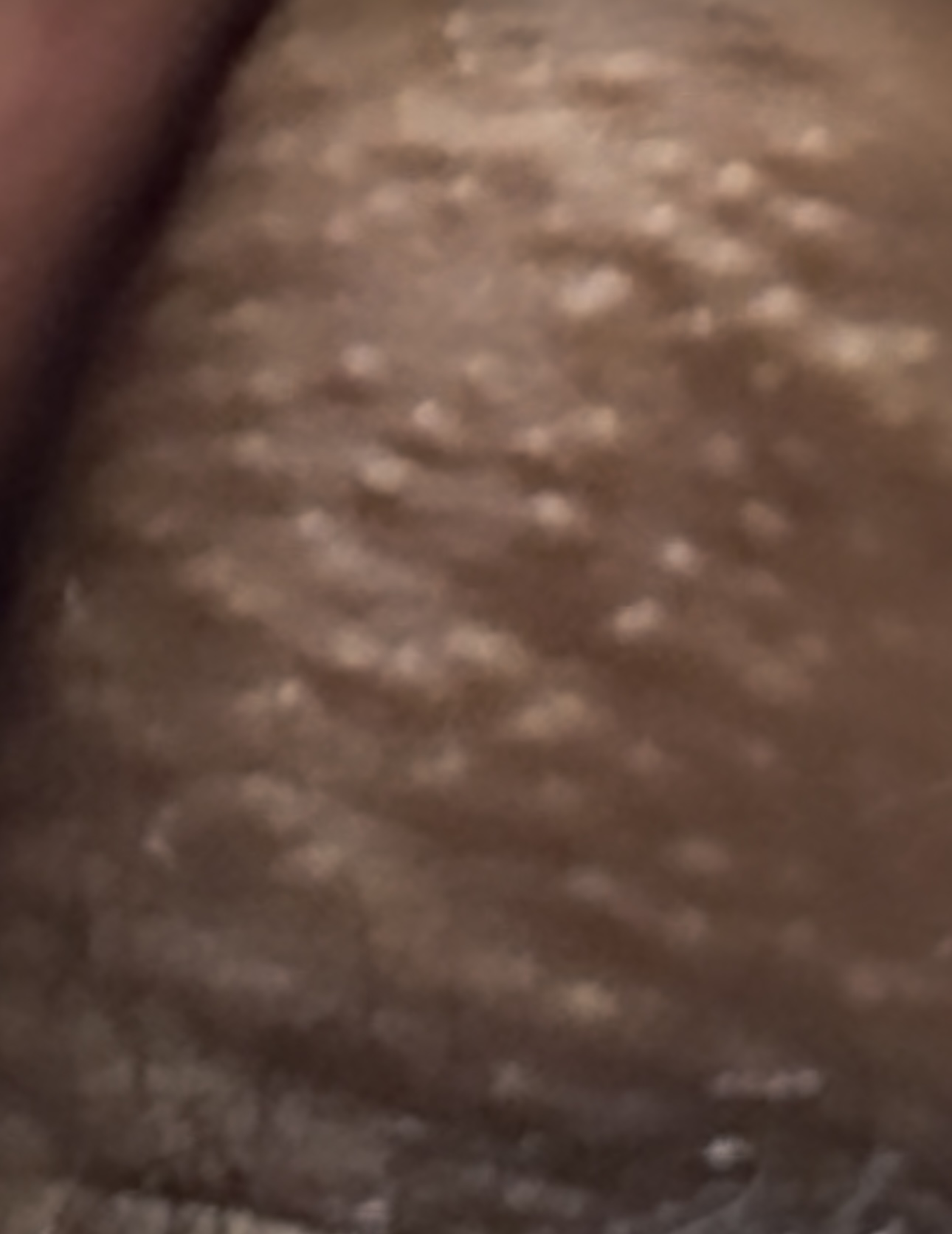 IMG_5158.jpeg