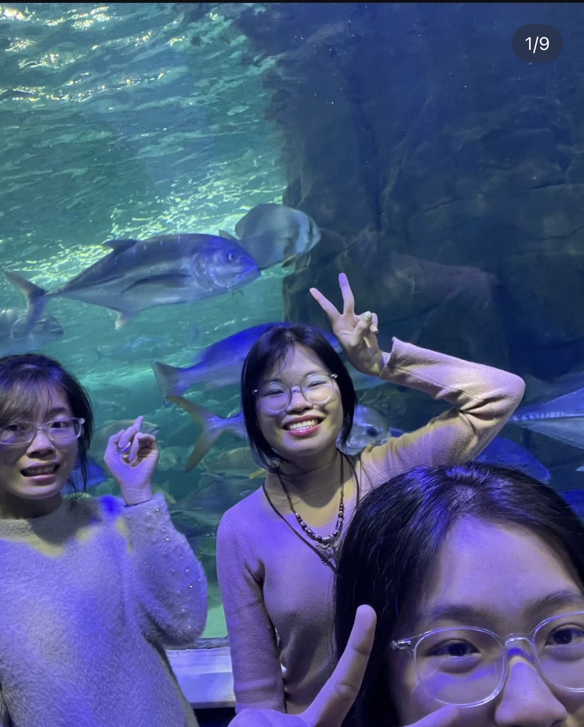 IMG_2262.jpeg