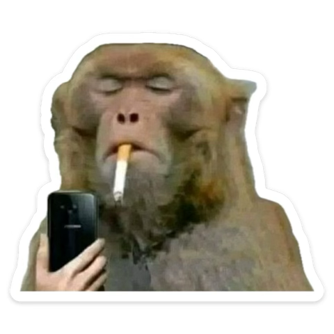 1771756083038.png