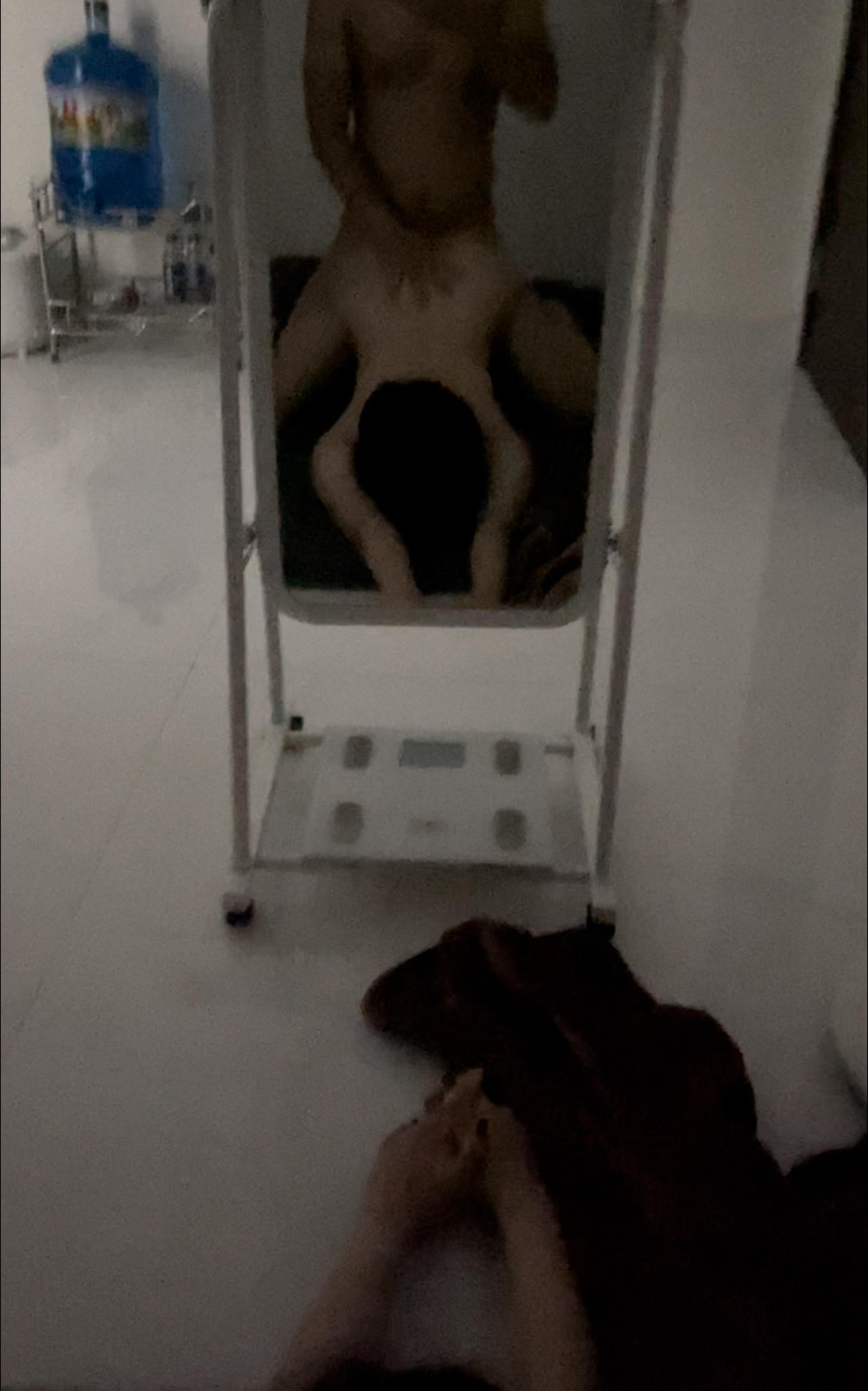 2C28F8C0-5CE1-4020-8304-4B05D45071D8.jpeg