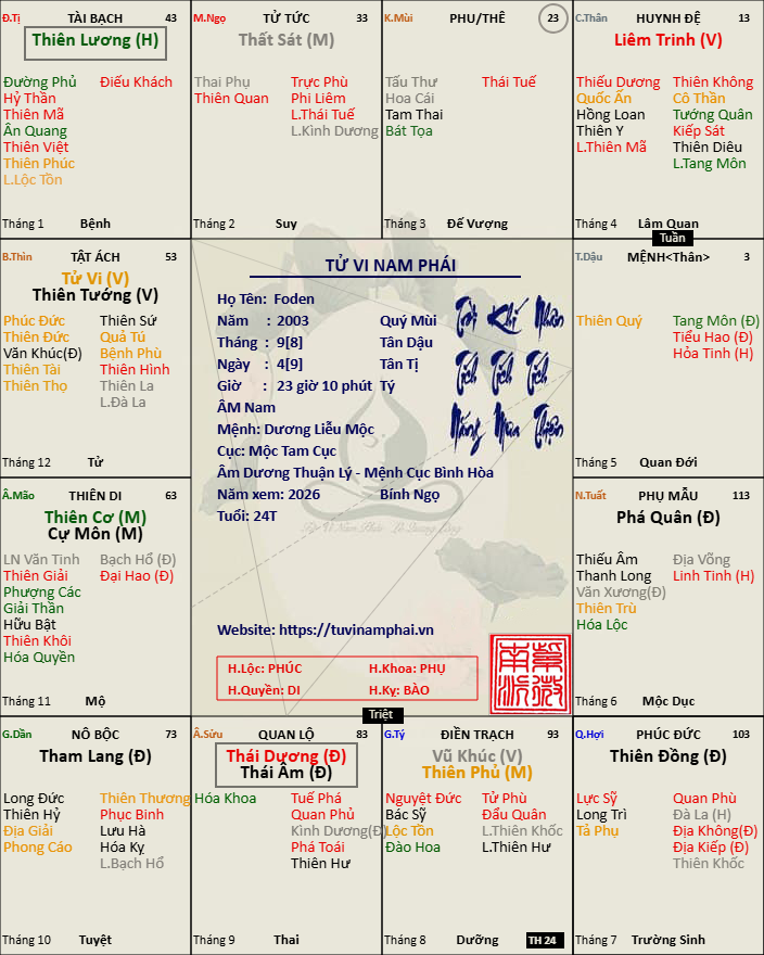 la-so-tu-vi-nam-phai-17728953815515.png