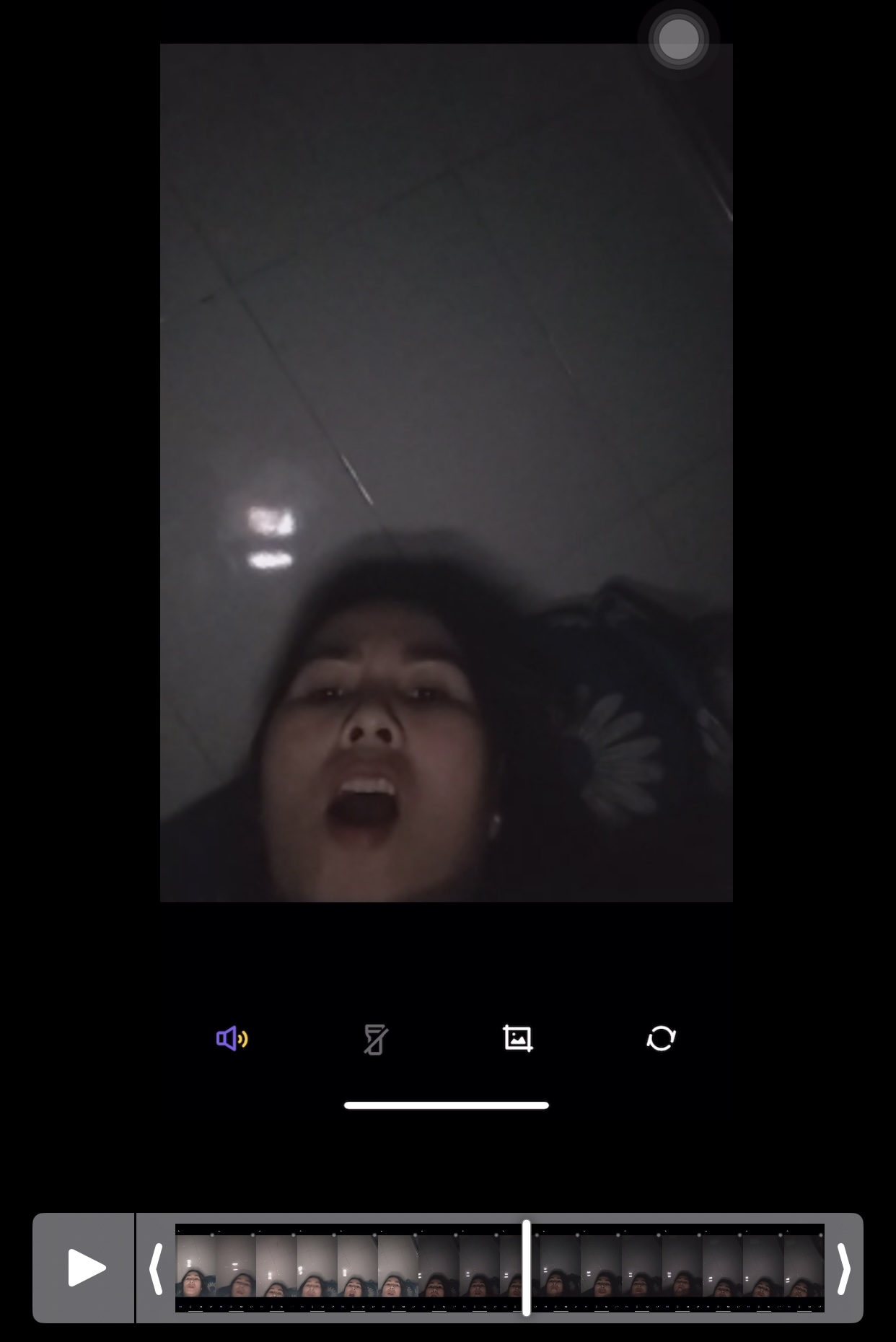 IMG_8077.jpeg