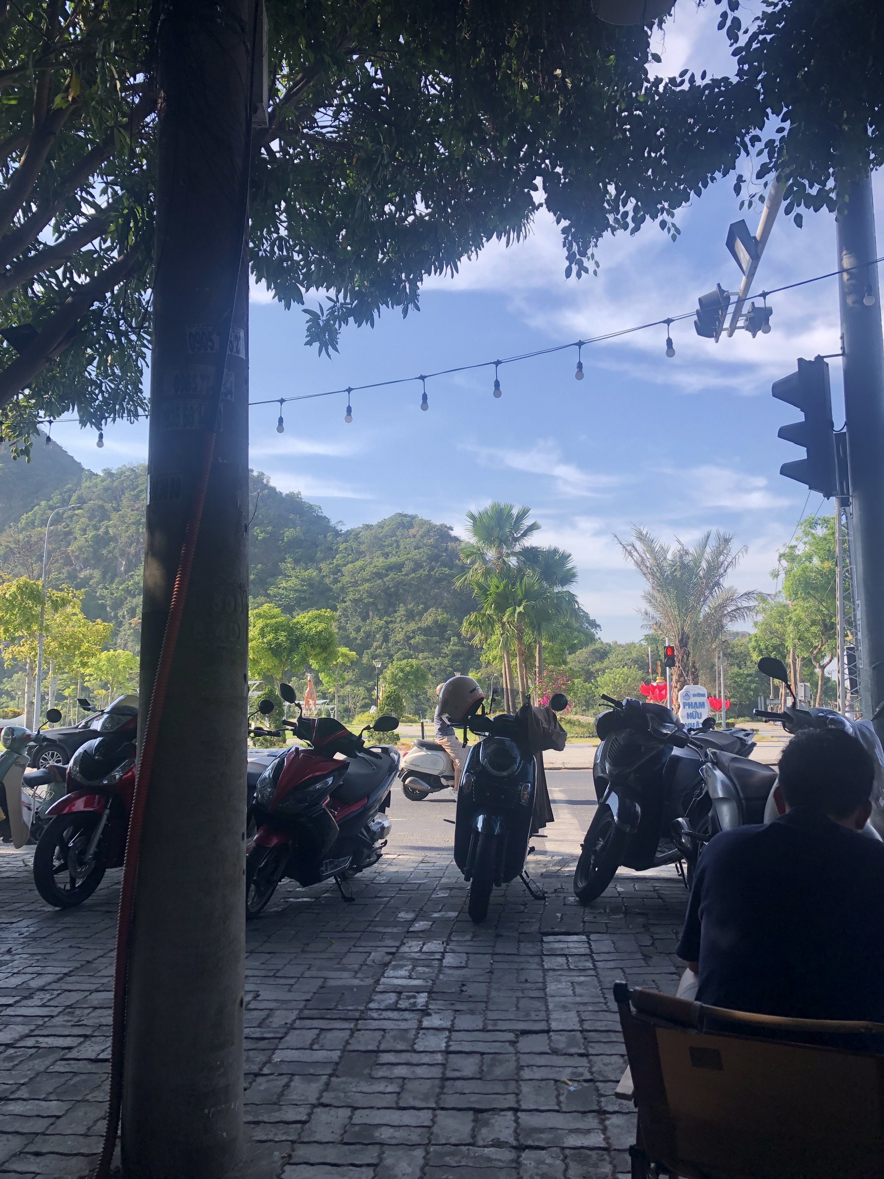 IMG_0254.jpeg