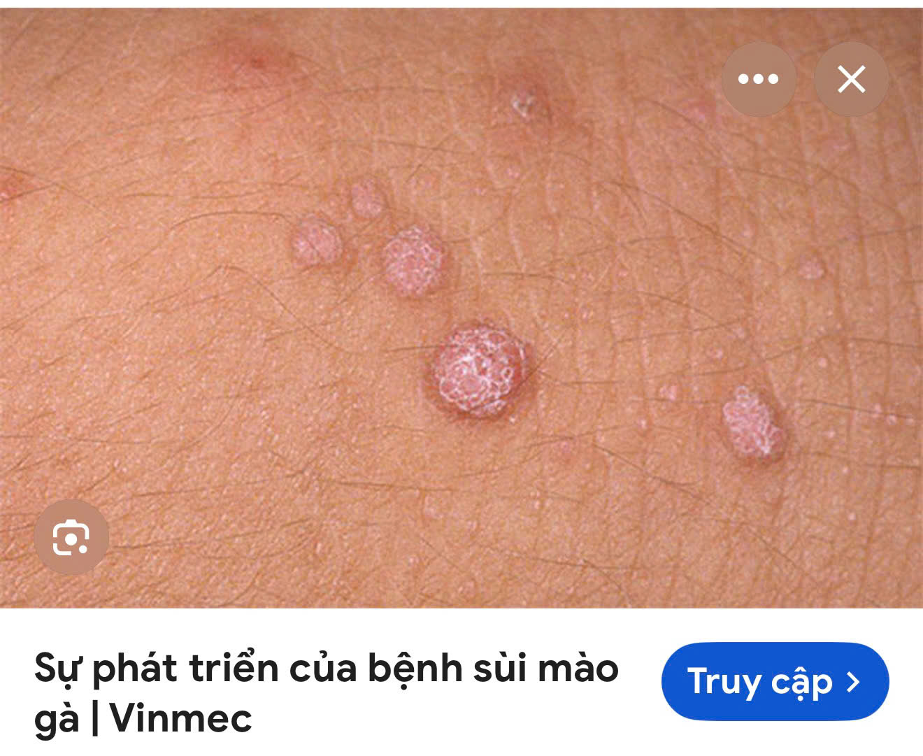 sui.jpg