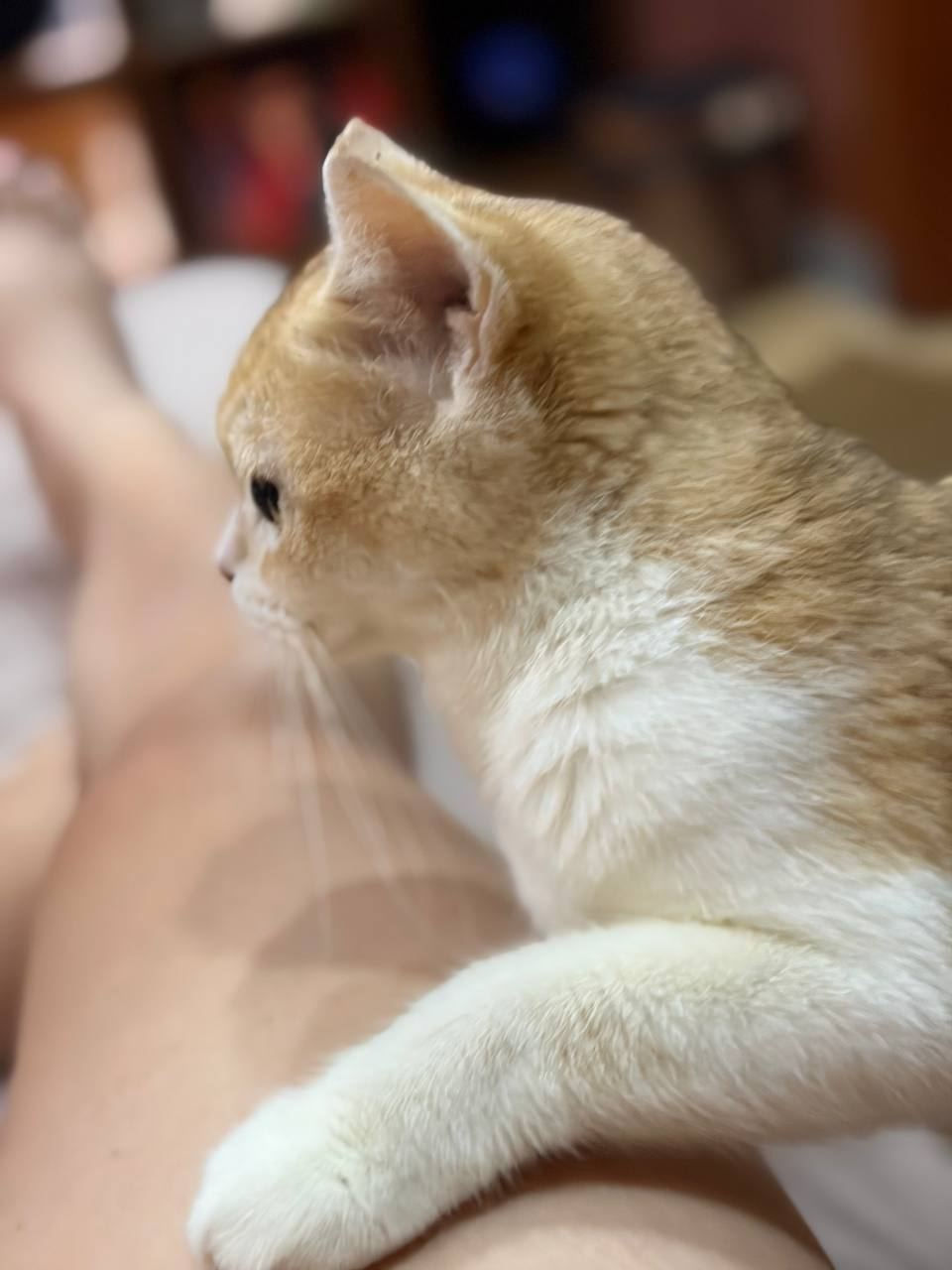 1786514120182.png