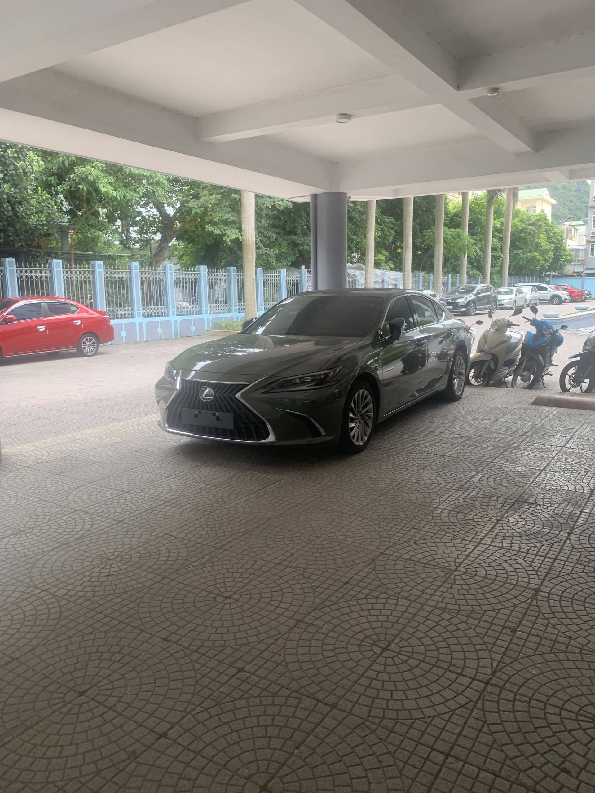 lexus.jpg