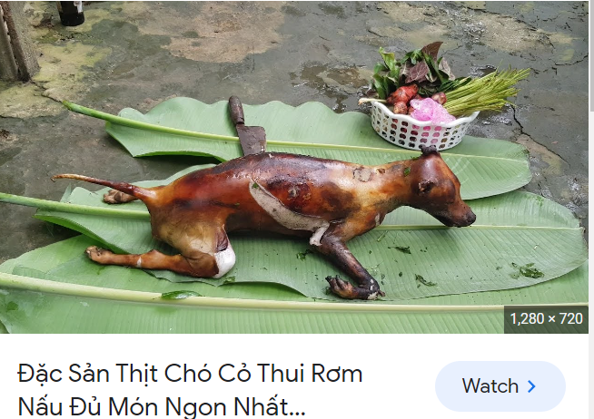 1697857762653.png