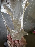 IMG_6560.jpeg