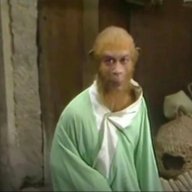 Ngộ Khỉ 🐵